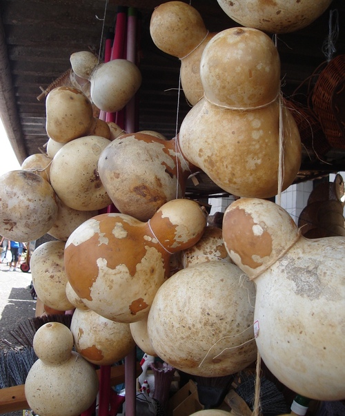 Cabaças naturais com "casca"