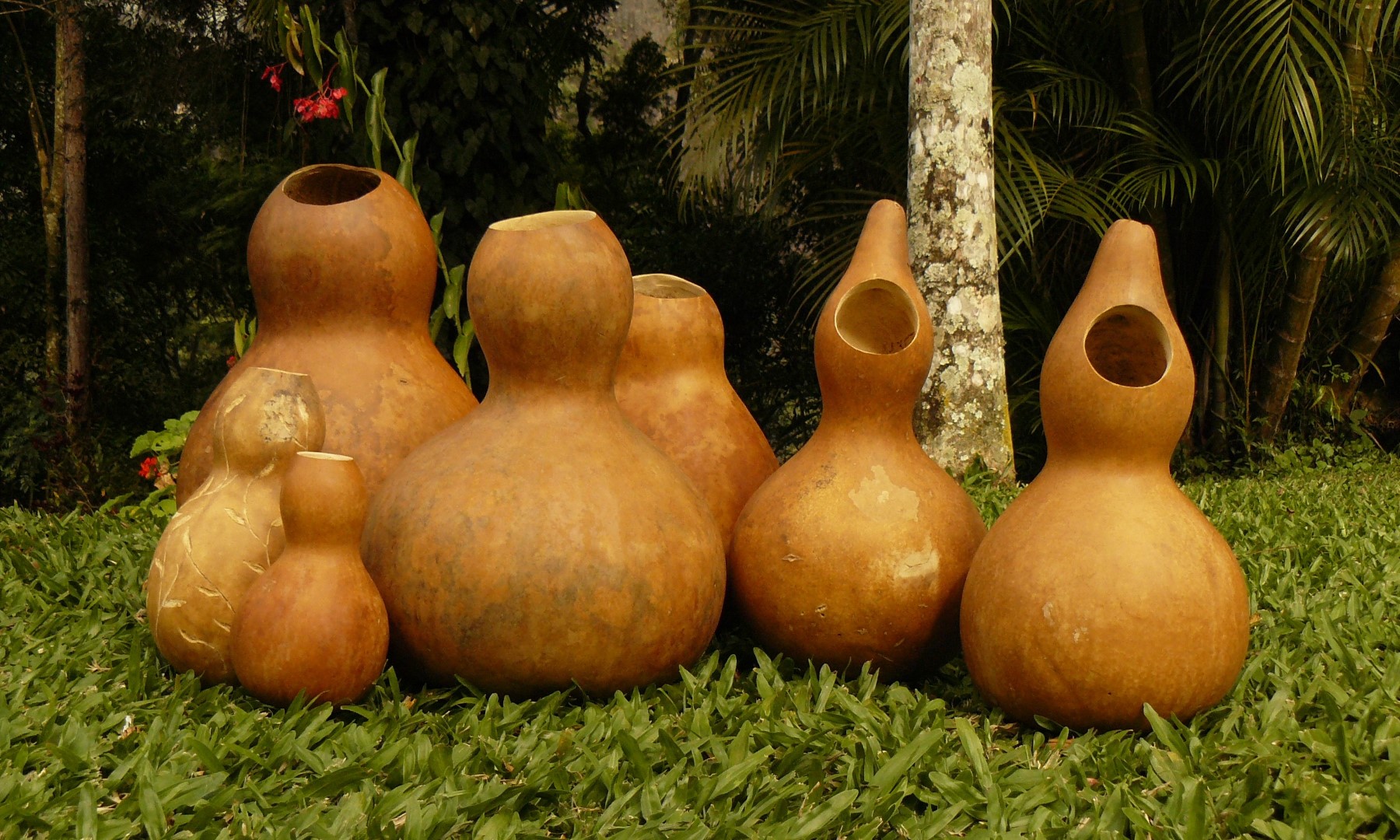 Como preparar uma Cabaça Dourada para o Feng Shui