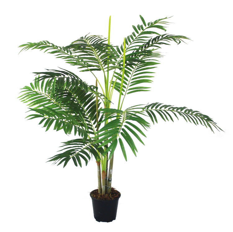Flores e 5 Elementos Chineses - Árvore