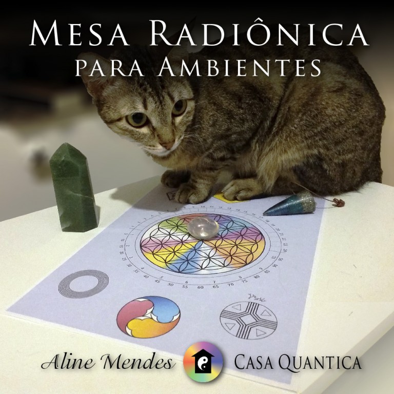 Novo Serviço – Reprogramação Energética