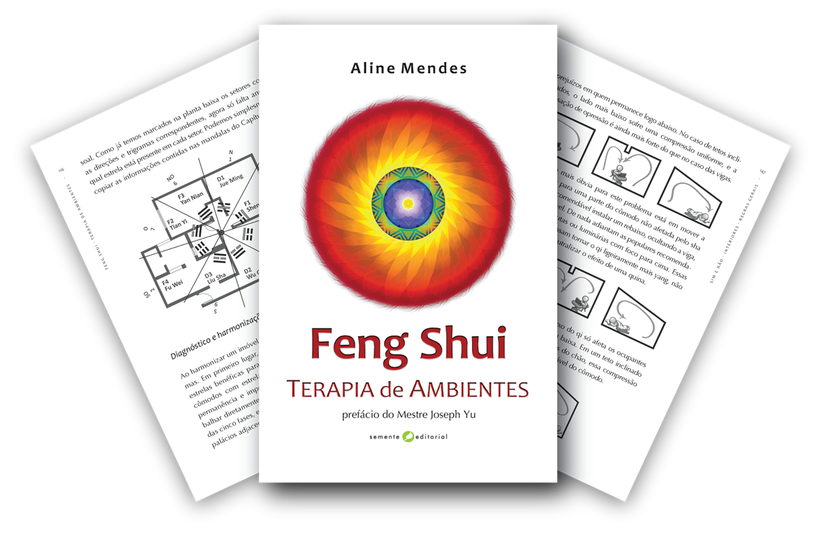 Livro Feng Shui - Terapia de Ambientes